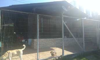 Imagem 4: Casa com 2 Dormitorio(s) localizado(a) no bairro Estância Velha em Canoas / Rio Grande do