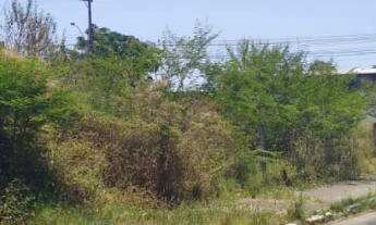 Imagem 3: Terreno com 3 Dormitorio(s) localizado(a) no bairro Estância Velha em Canoas / Rio Grande