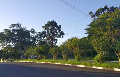 Imagem 2: Terreno com 2 Dormitorio(s) localizado(a) no bairro São José em Canoas / Rio Grande do Su