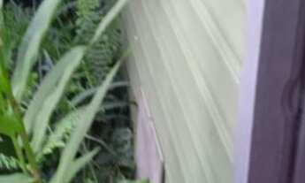 Imagem 2: Casa com 2 Dormitorio(s) localizado(a) no bairro Igara em Canoas / Rio Grande do Sul Ref