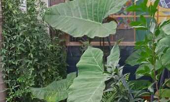 Imagem 3: Casa com 2 Dormitorio(s) localizado(a) no bairro Igara em Canoas / Rio Grande do Sul Ref