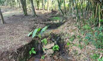 Imagem 7: Sítio com 2 Dormitorio(s) localizado(a) no bairro Morro Ceroula em Três Coroas / Rio Gran