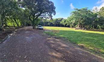 Imagem 3: Sítio com 2 Dormitorio(s) localizado(a) no bairro Morro Ceroula em Três Coroas / Rio Gran