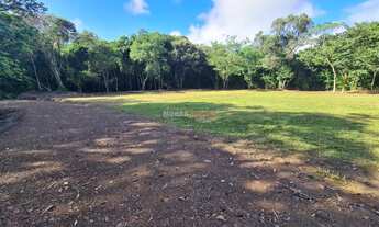 Imagem 4: Sítio com 2 Dormitorio(s) localizado(a) no bairro Morro Ceroula em Três Coroas / Rio Gran