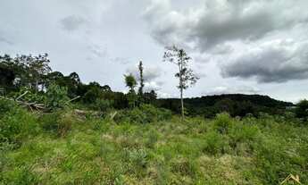 Imagem 7: Área de terra com 21.000 m². Bairro Linha Imperial. Nova Petrópolis RS!