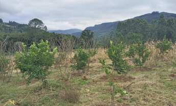Imagem 3: Sítio bairro Joaneta, Picada Café RS