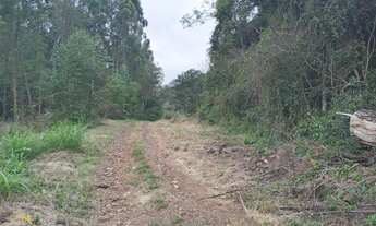 Imagem 6: Sítio bairro Joaneta, Picada Café RS