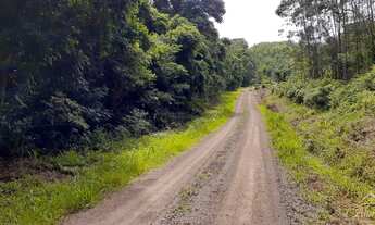 Imagem: Área de terra, Morro Reuter RS