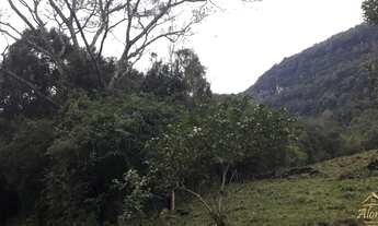 Imagem 6: Área de terra bairro Pedancino , Caxias Do Sul RS