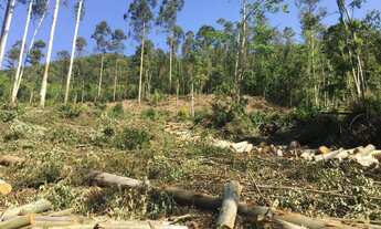 Imagem: Área de terra com 5,5 hectares. Bairro