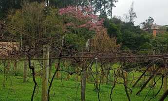 Imagem 5: Terreno com 1.577,20 m², bairro Logradouro, Nova Petrópolis RS!