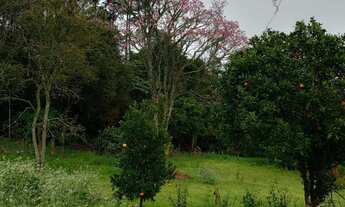 Imagem 6: Terreno com 1.577,20 m², bairro Logradouro, Nova Petrópolis RS!