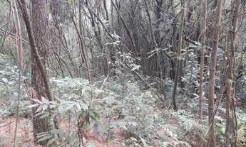 Imagem 3: Área de terra bairro Morro Hansen , Picada Café RS