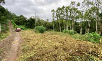 Imagem 2: Área de terra bairro Linha Pirajá Alta, Nova Petrópolis RS