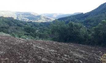 Imagem 2: Área de terra Picada Café, RS