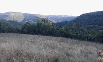 Imagem 3: Área de terra Picada Café, RS