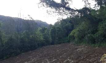 Imagem 4: Área de terra Picada Café, RS