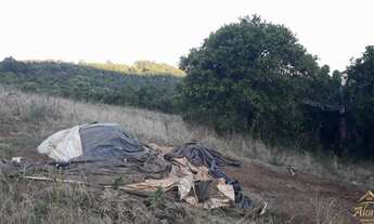 Imagem 7: Área de terra Picada Café, RS