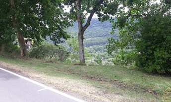 Imagem 6: Terreno bairro Picada Holanda, Picada Café RS