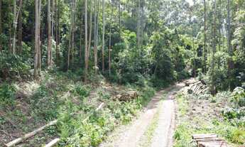 Imagem 3: Área de terra com 30.000 m², no Bairro Fazenda Pirajá em Nova Petrópolis RS