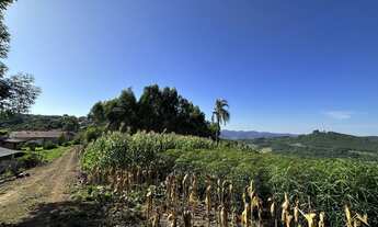 Imagem 2: Área de terra com 50.966,00 m², no bairro Linha Olinda, Nova Petrópolis. RS