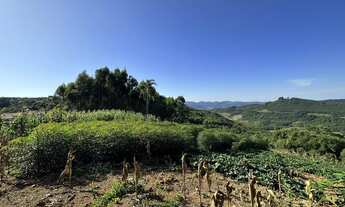 Imagem 5: Área de terra com 50.966,00 m², no bairro Linha Olinda, Nova Petrópolis. RS