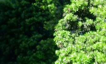 Imagem 3: Cobertura duplex com três dormitórios sendo uma suíte, no Pousada da Neve , Nova Petrópoli