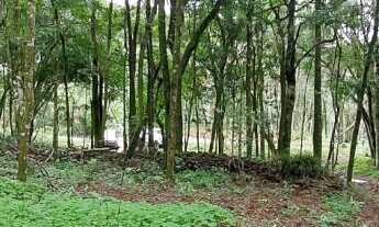 Imagem 4: Área de terra bairro Linha Olinda , Nova Petrópolis RS