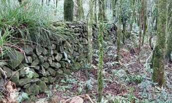 Imagem 5: Área de terra bairro Linha Olinda , Nova Petrópolis RS