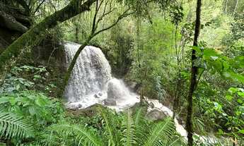 Imagem: Área de terra com 80.000 m². Linha Temerária