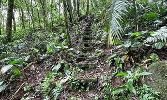 Imagem 6: Área de terra com 80.000 m². Linha Temerária, Nova Petrópolis RS!