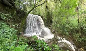 Imagem 2: Área de terra com 80.000 m². Linha Temerária, Nova Petrópolis RS!