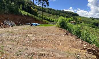 Imagem: Área de terra com 2 Hectares em Pinto Bandeira