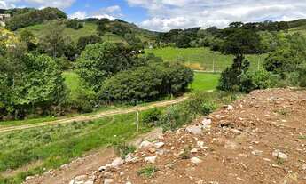 Imagem 3: Área de terra com 2 Hectares em Pinto Bandeira RS. Possui o selo DO