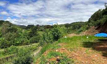 Imagem 5: Área de terra com 2 Hectares em Pinto Bandeira RS. Possui o selo DO