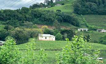 Imagem 7: Área de terra com 2 Hectares em Pinto Bandeira RS. Possui o selo DO