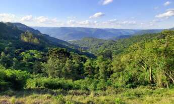 Imagem 2: Área de terra com 1.5 Hectare,(15.000 m²) Linha Olinda na cidade de Nova Petrópolis RS