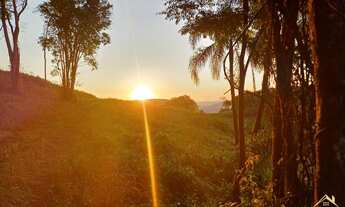 Imagem 3: Área de terra com 1.5 Hectare,(15.000 m²) Linha Olinda na cidade de Nova Petrópolis RS