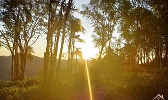 Imagem 5: Área de terra com 1.5 Hectare,(15.000 m²) Linha Olinda na cidade de Nova Petrópolis RS