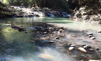 Imagem 7: Área de terra com três hectares na Linha Pirajá baixa , Nova Petrópolis RS!