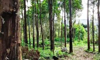 Imagem: Área de terras com 15.000 m² na fazenda