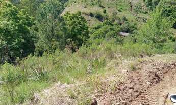 Imagem 4: Área de terra à venda em Linha Pirajá Baixa na Cidade de Nova Petrópolis RS!