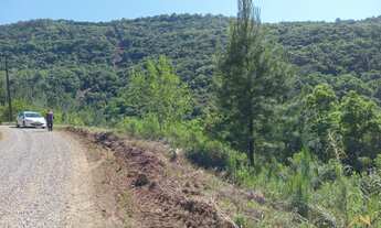 Imagem 7: Área de terra à venda em Linha Pirajá Baixa na Cidade de Nova Petrópolis RS!