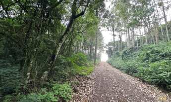 Imagem 3: Área de terra à venda com 24.822,71 metros quadrados. Bairro Linha Imperial. Nova Petrópol