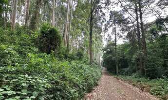 Imagem 7: Área de terra à venda com 24.822,71 metros quadrados. Bairro Linha Imperial. Nova Petrópol