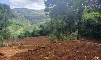 Imagem 7: Área de terra localizado em Linha Olinda , Nova Petrópolis RS!