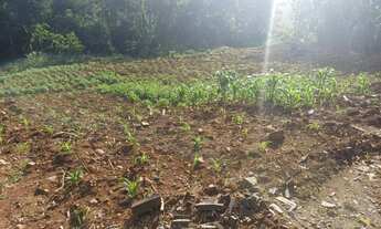 Imagem: Área de terra localizado em Linha Olinda