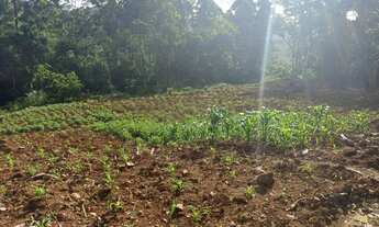 Imagem 6: Área de terra localizado em Linha Olinda , Nova Petrópolis RS!