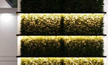 Imagem 4: Apartamento à venda na planta com duas suítes, Centro de Nova Petrópolis RS!