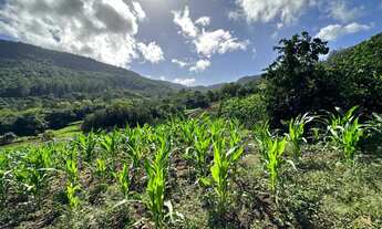 Imagem 2: Terreno à venda com 420 m² , na Cidade de Picada Café RS!